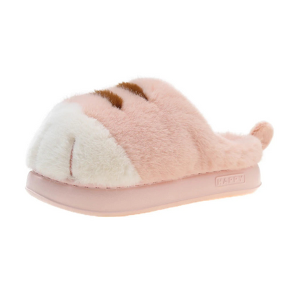 Zapas Gato