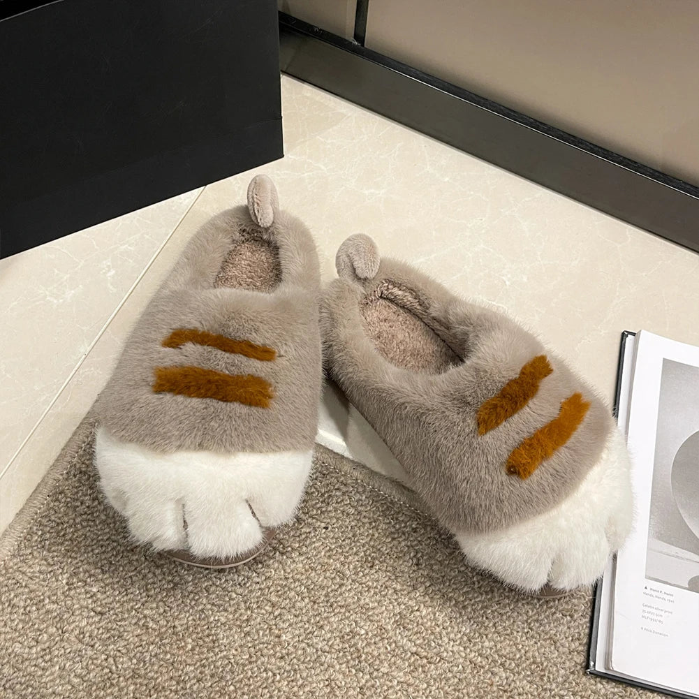 Zapas Gato